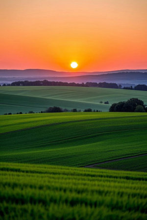 Field sunset natural sceneryの素材