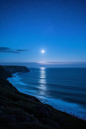 Landscape of seaside cliffs under moonlit nightの素材