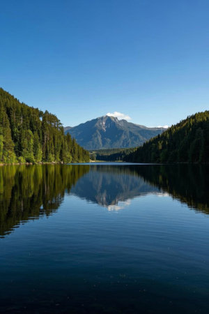 Panoramic view of natural scenery of mountains, forests and lakesの素材