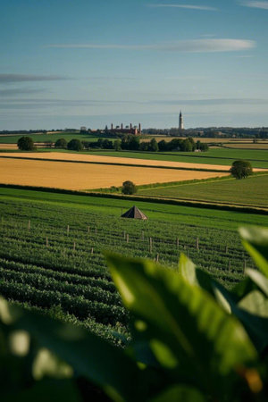 Field and countryside sceneryの素材