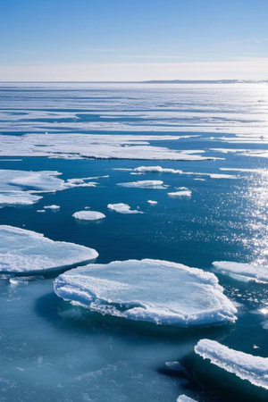 Ice floating on the sea surfaceの素材