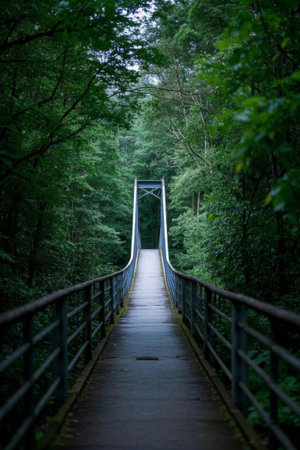 View of a wooden bridge suspension in the forestの素材