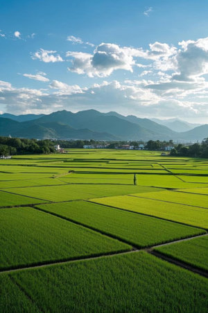 Rural rice fields and distant mountain sceneryの素材