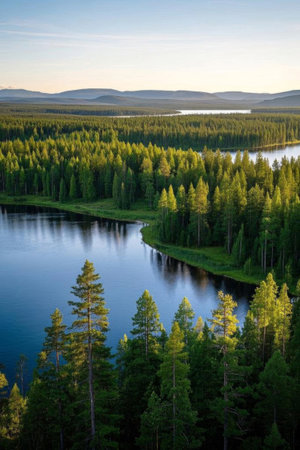 Panorama of forest lake natureの素材