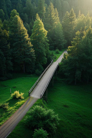 Aerial view of the road in the forestの素材