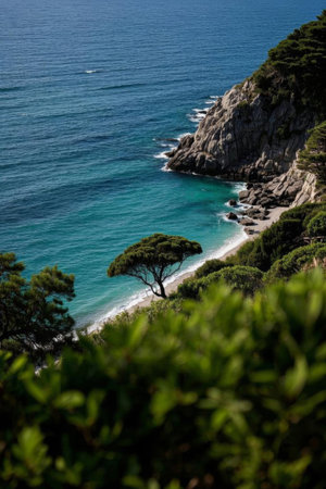 Coastal rock and green landscapeの素材