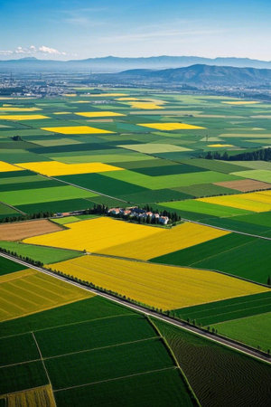 Overlooking the colorful farmland and village landscapeの素材
