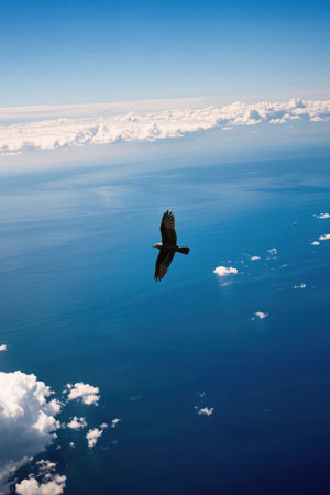 Birds soar among the blue sky and white cloudsの素材