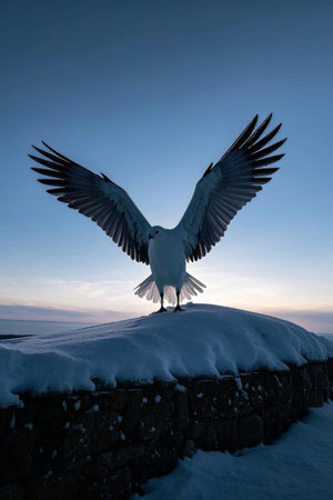 Seagulls spreading their wings in the snowの素材
