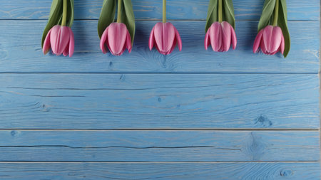 Pink tulips on blue wood panelsの素材
