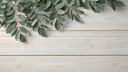 Eucalyptus leaves on light wood panelsの素材