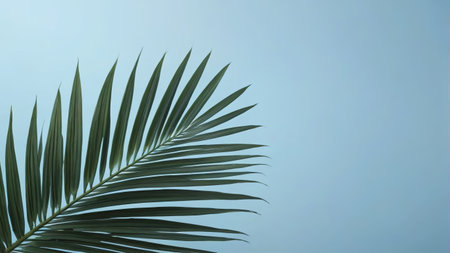 Palm leaves against a blue skyの素材