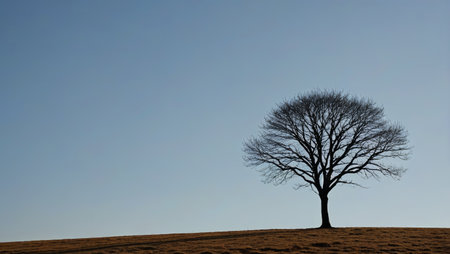 Lonely leafless trees in the wildernessの素材