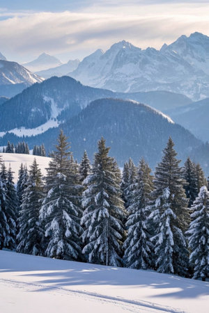 Snow covered forest landscape under snow capped mountainsの素材