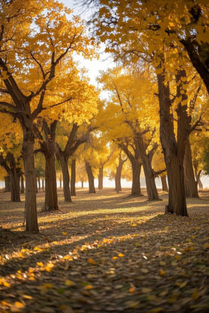 Autumn Golden Forest Landscapeの素材