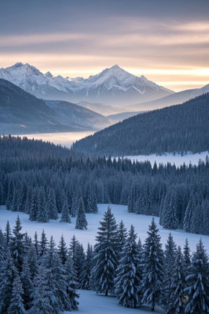 Panoramic view of snow capped mountains and forestsの素材