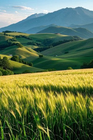 Wheat fields under the hillsの素材