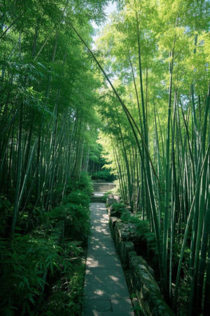 Slate path in bamboo forestの素材