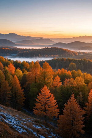 Panoramic view of sunrise over autumn mountains and forestsの素材