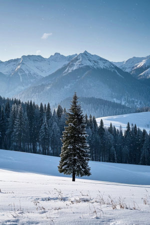 A single pine tree in the snow below a snow mountainの素材