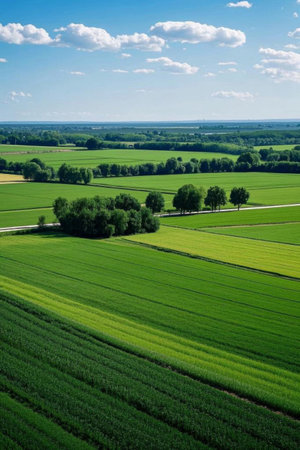 Overlooking the vast green farmland landscapeの素材