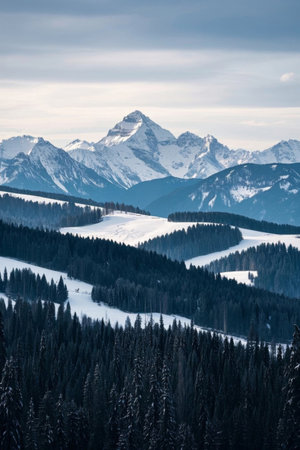Panoramic view of the natural scenery of Snow Mountain Forestの素材
