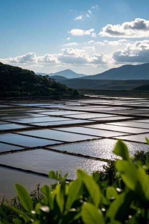 Salt pan idyllic scenery in the sunの素材
