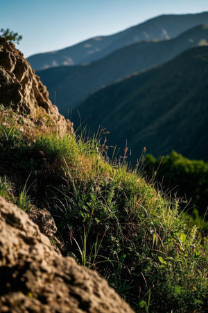 Outdoor close up mountain and grass viewsの素材