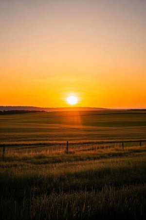 Sunset scene in the fieldsの素材