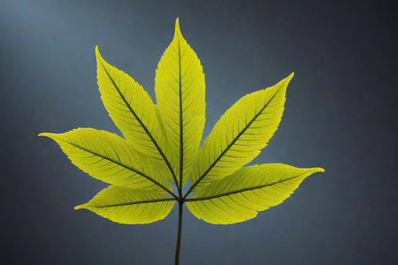 Close up of green leavesの素材