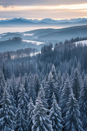 Snow covered forests and distant mountain natural landscapesの素材