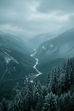 Snowy scenery in the valley forestの素材