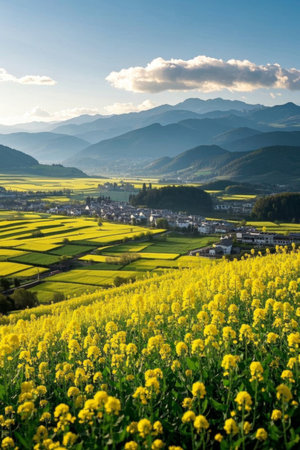 Yellow rapeseed fields in pastoral sceneryの素材