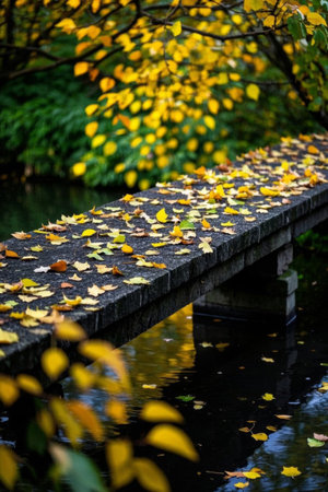 Fallen Leaves on the Stone Bridge in Autumnの素材