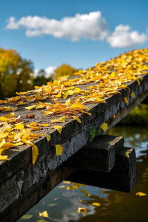 Fallen Leaves on the Wooden Bridge in Autumnの素材