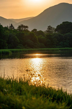 Lake and forest scenery at sunsetの素材