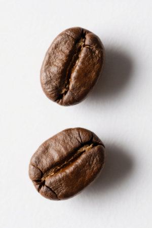 Close up two coffee beansの素材