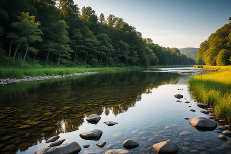 Tranquil river natural scenery next to the forestの素材