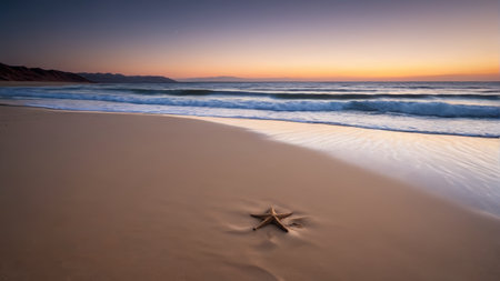Starfish and ocean waves on the beachの素材