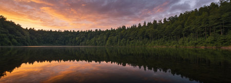 Gorgeous sunset view on the shores of Forest Lakeの素材