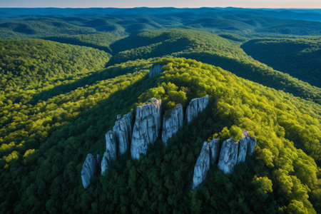 Aerial photography of forests and rocky landscapesの素材