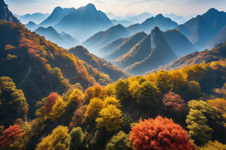 Panoramic view of autumn mountains and forestsの素材