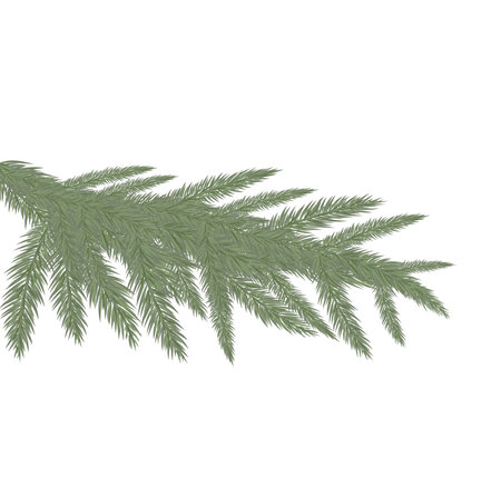 Cartoon christmas tree branch isolated vector illustrationのイラスト素材