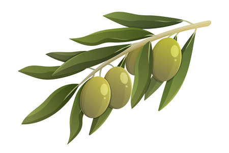 Olive branch with green leaves. Cartoon vector isolated illustrationのイラスト素材
