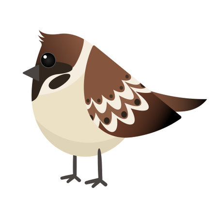 cartoon sparrow. Bird isolated on a white background vector illustrationのイラスト素材