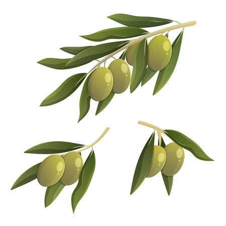 green olive branch set. Cartoon vector isolated illustrationのイラスト素材