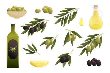 Olive oil cartoon set. Bottle of oil, green and black olive branch, drop of oil. vector illustrationのイラスト素材