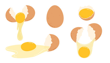 Cracked chicken eggs set. Flat vector illustration isolated on white backgroundのイラスト素材