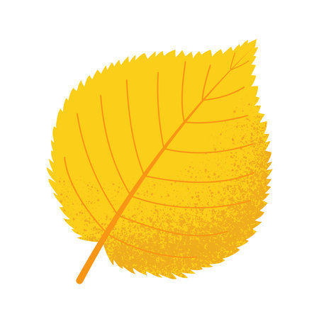 Yellow autumn leaf with grain texture isolated on white. Flat vector illustrationのイラスト素材