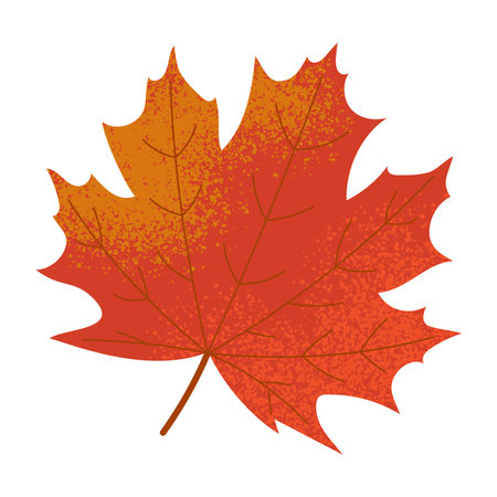 Red autumn maple leaf isolated on white. Vector illustration with grain textureのイラスト素材